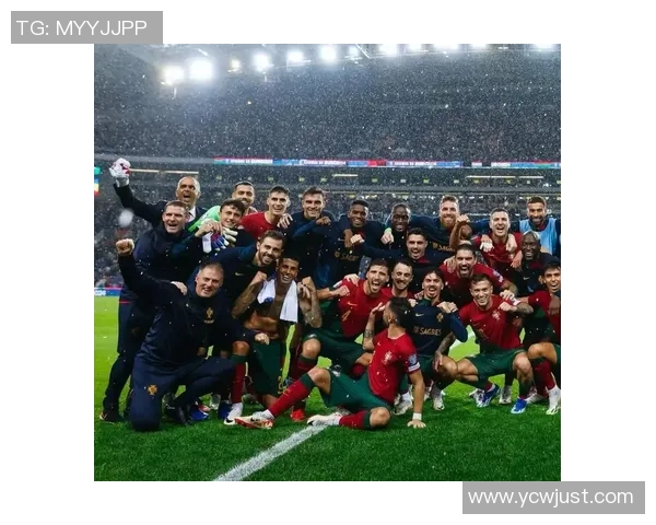 足球球星贝拉米个人介绍及精彩瞬间视频回顾